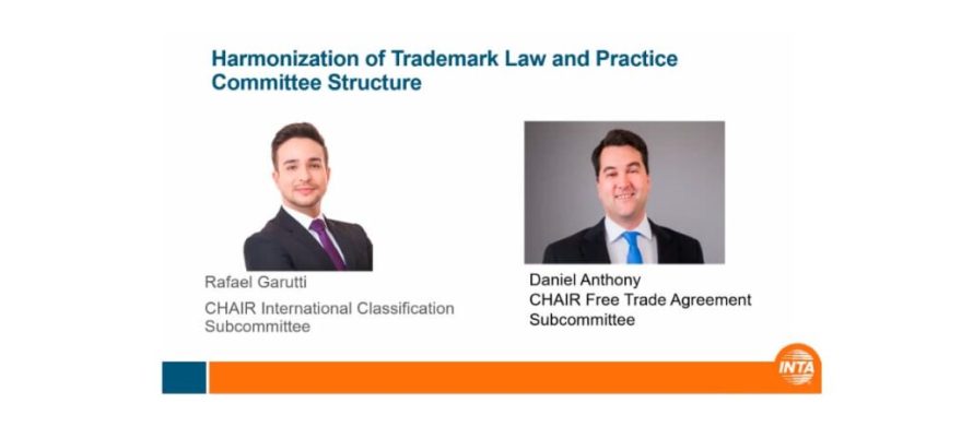 CNV-represented-on-INTAs-Harmonization-of-Trademark-Law-and-Practice-Committee